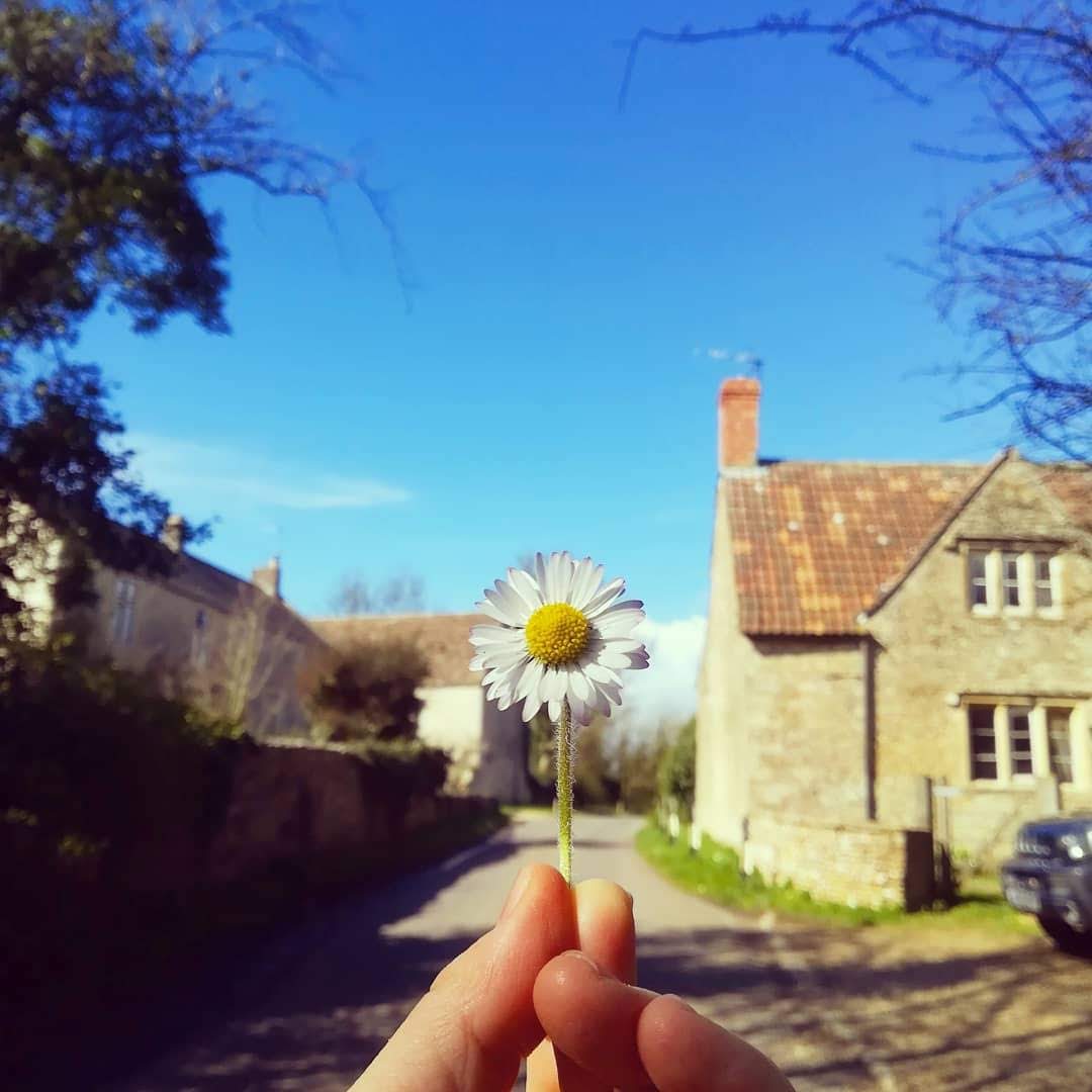 イギリスのイースター　食事情（スイーツ系）の写真3