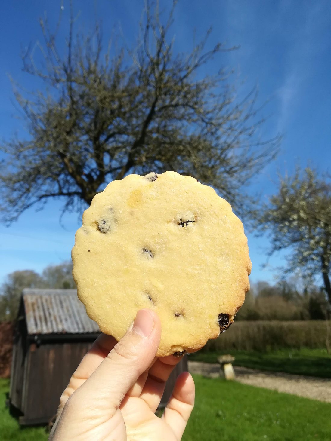 イギリスのイースター　食事情（スイーツ系）の写真6