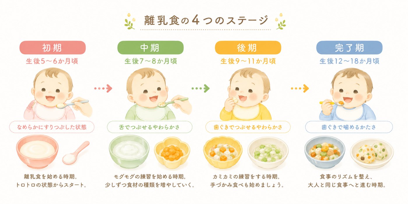 離乳食の4つのステージ（初期・中期・後期・完了期）の図解